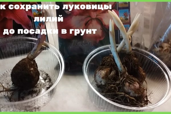 Кракен ссылка bazaonion com